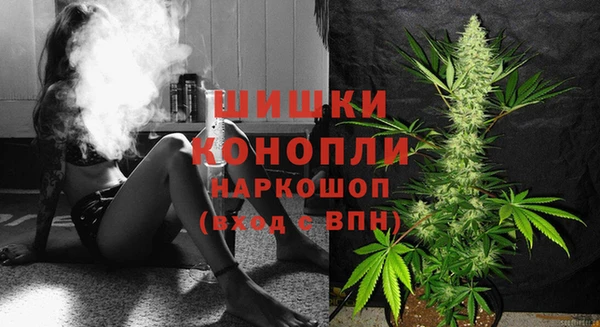 соль ск Липки