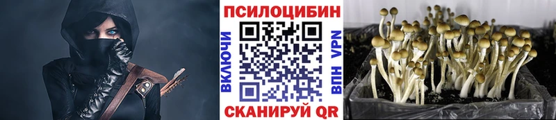 Псилоцибиновые грибы Psilocybe  Купить где  Россошь 